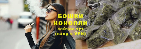 PSILOCYBIN Иннополис