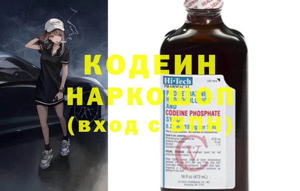 apvp Инсар