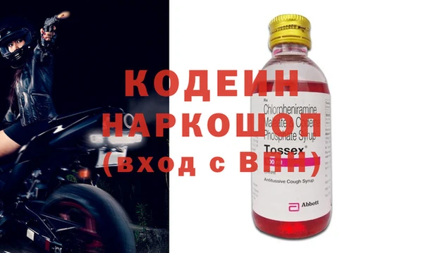 apvp Инсар