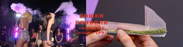 ешки Инта