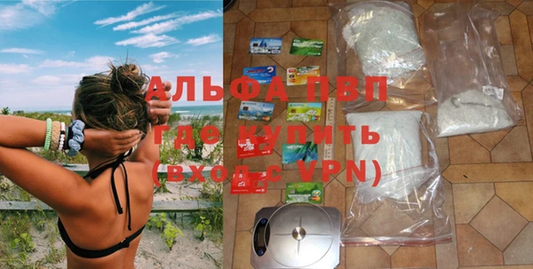 PSILOCYBIN Иннополис