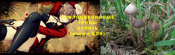 первитин Арсеньев