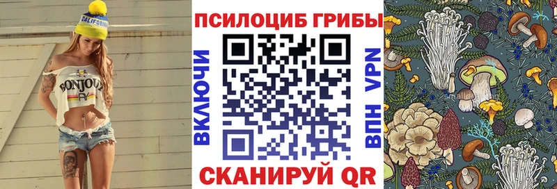 mega Раменское Галлюциногенные грибы GOLDEN TEACHER